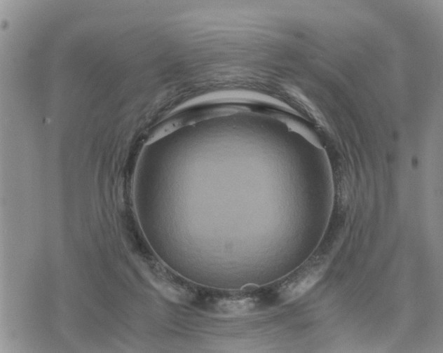 X0000075860213200609221804