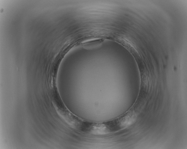 X0000075860214200609221804