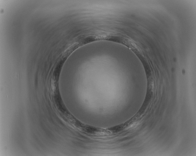 X0000075860215200609221804