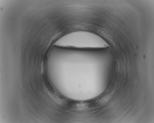 X0000075860216200609221804