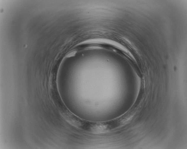 X0000075860217200609221804