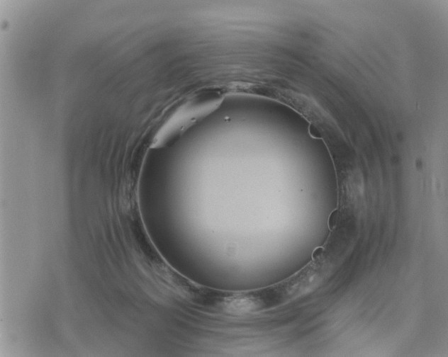 X0000075860218200609221804