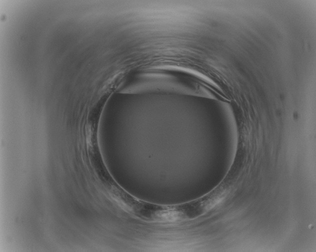 X0000075860219200609221803