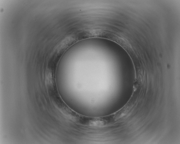 X0000075860220200609221803