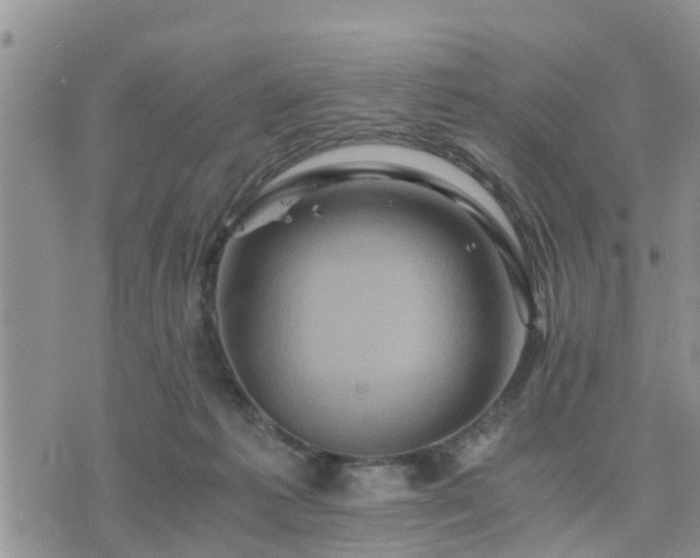 X0000075860221200609221803