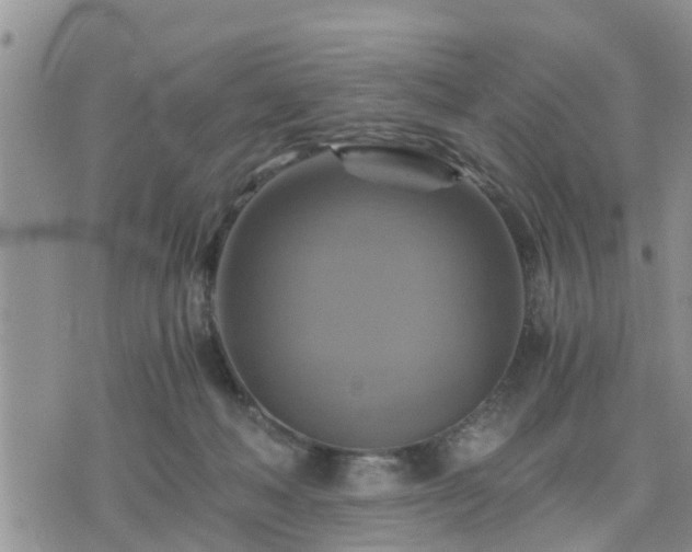 X0000075860222200609221803