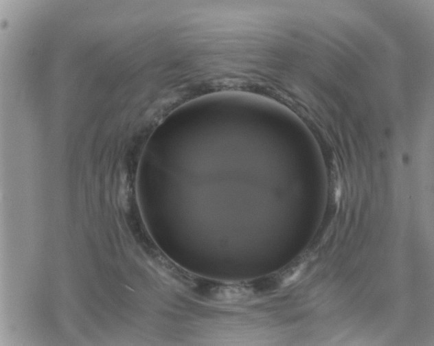 X0000075860223200609221803