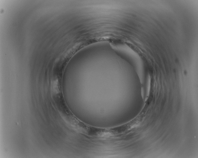 X0000075860224200609221803