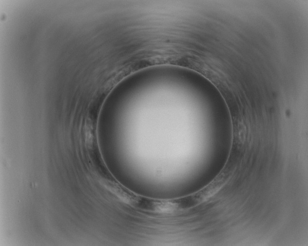 X0000075860226200609221803