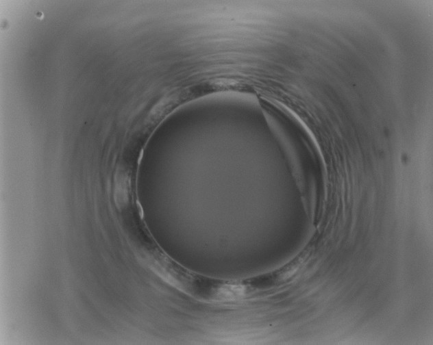 X0000075860227200609221803