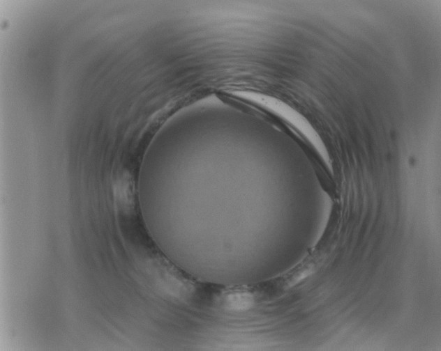 X0000075860228200609221803