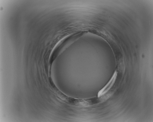 X0000075860229200609221803