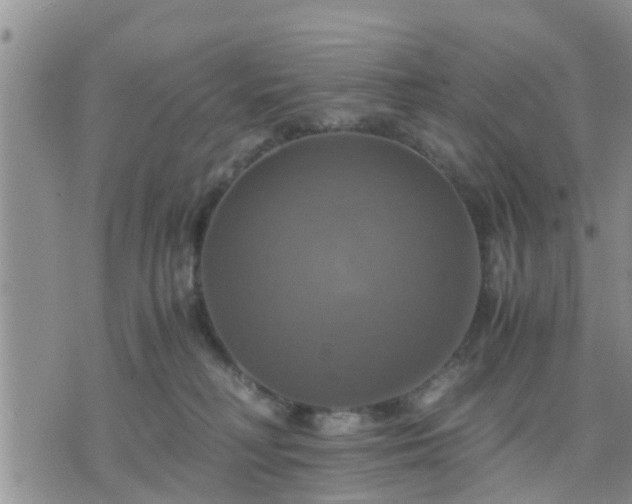 X0000075860230200609221803