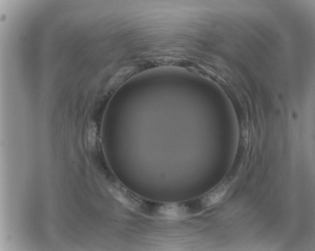 X0000075860231200609221803