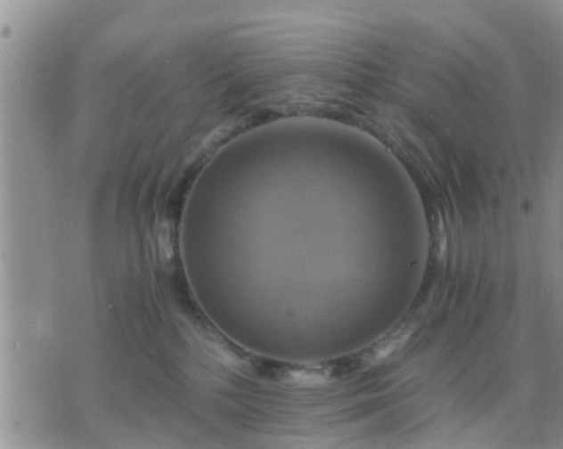 X0000075860232200609221803