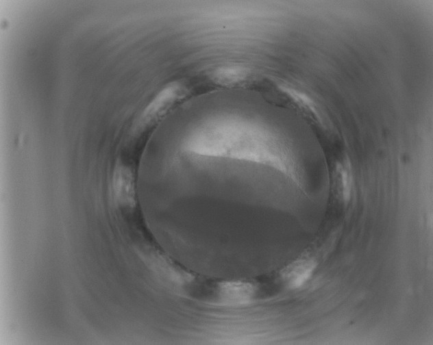 X0000075860234200609221803