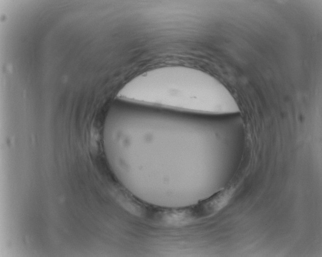 X0000075860235200609221803