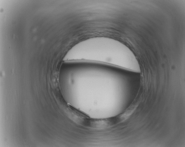 X0000075860237200609221803