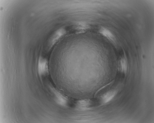 X0000075860238200609221803