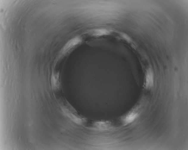 X0000075860239200609221803