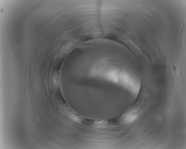 X0000075860240200609221803