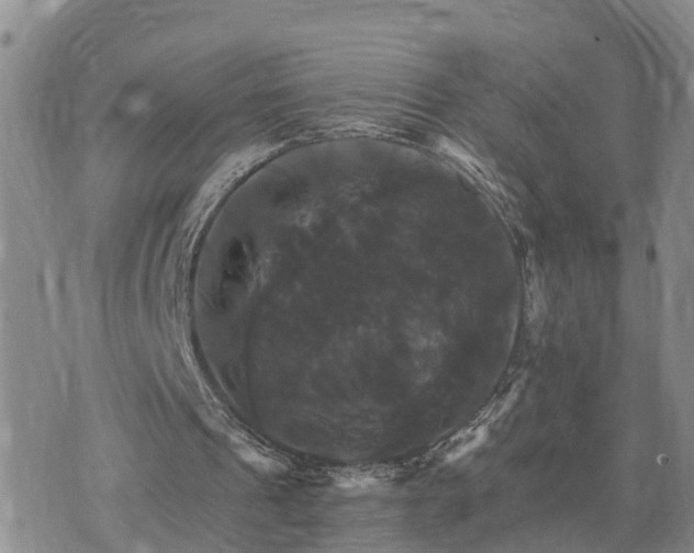 X0000075860241200609221802