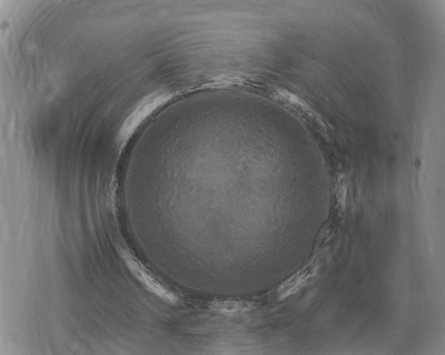 X0000075860242200609221802