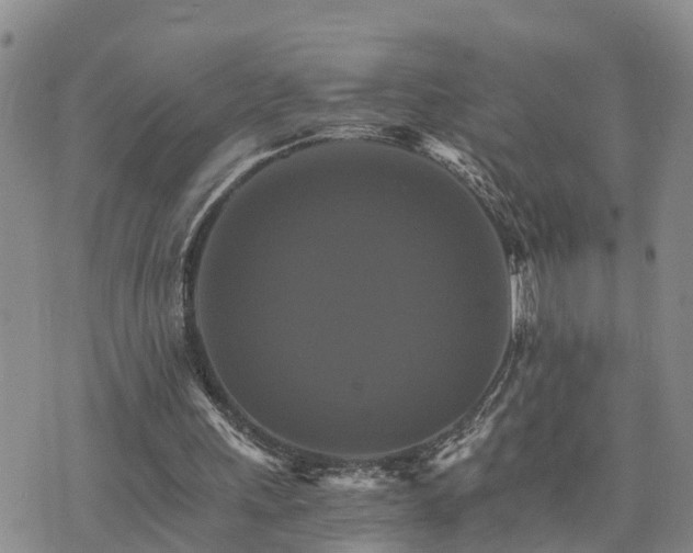 X0000075860243200609221802