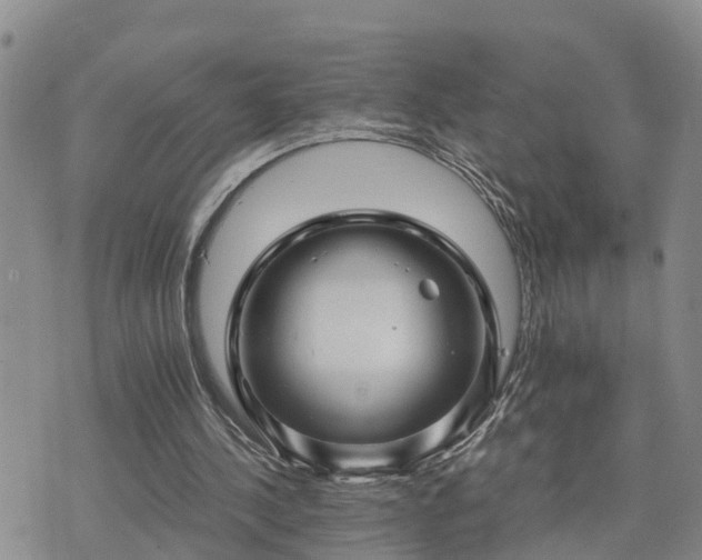 X0000075860244200609221802