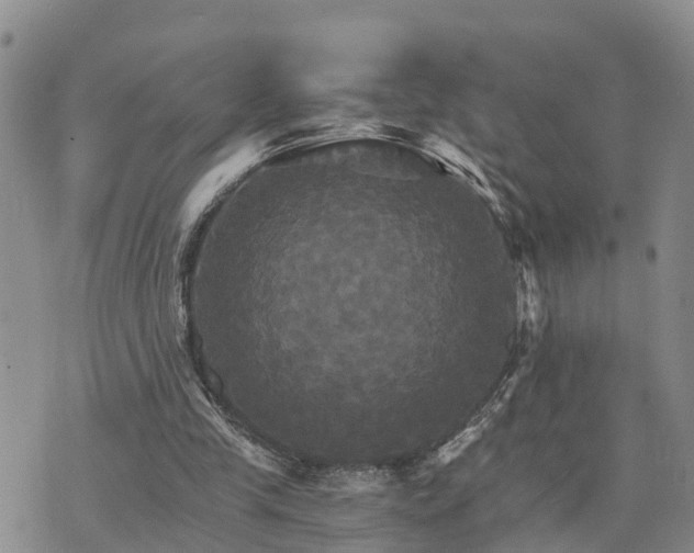 X0000075860245200609221802