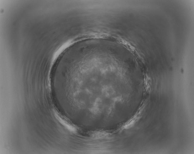 X0000075860246200609221802