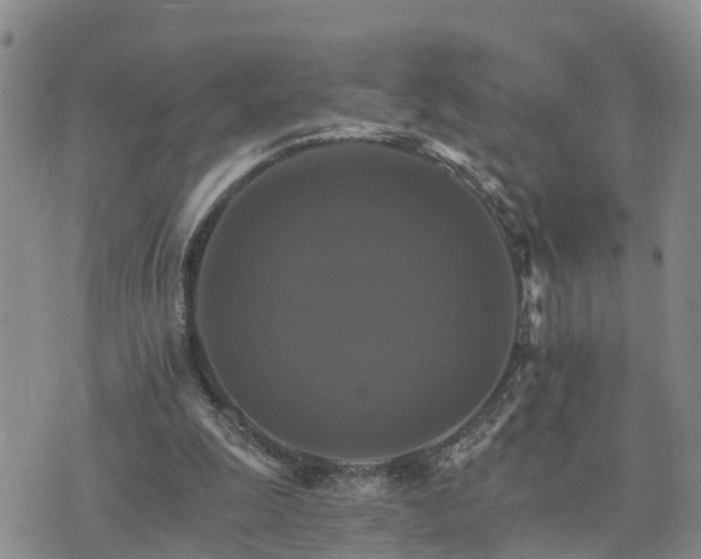 X0000075860247200609221802