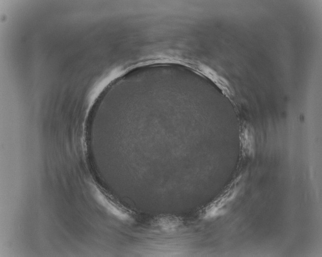 X0000075860248200609221802