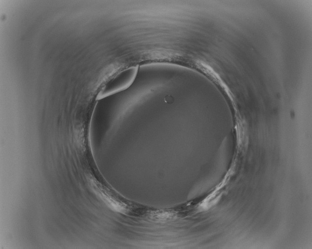 X0000075860249200609221803