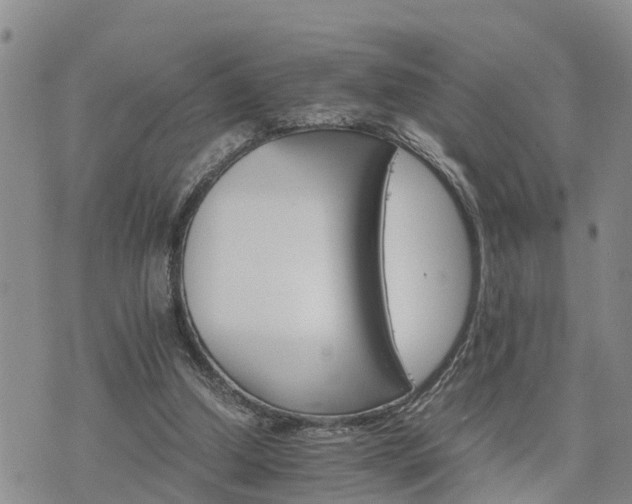 X0000075860250200609221803