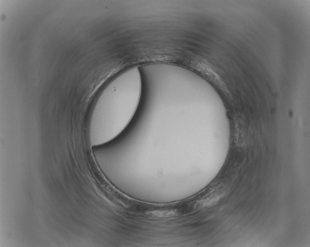 X0000075860251200609221803