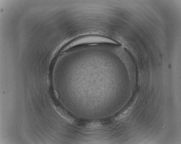 X0000075860252200609221803