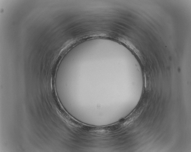 X0000075860253200609221803