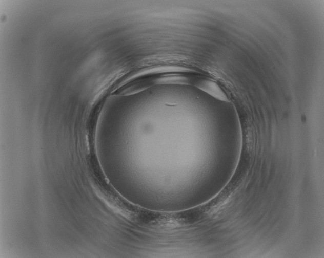 X0000075860254200609221803