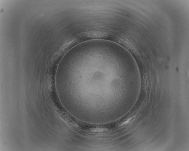 X0000075860255200609221803