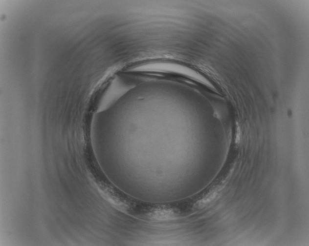 X0000075860256200609221803