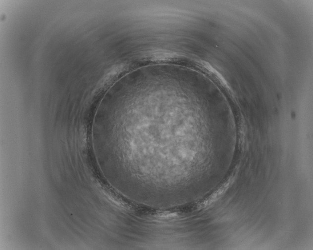 X0000075860257200609221803