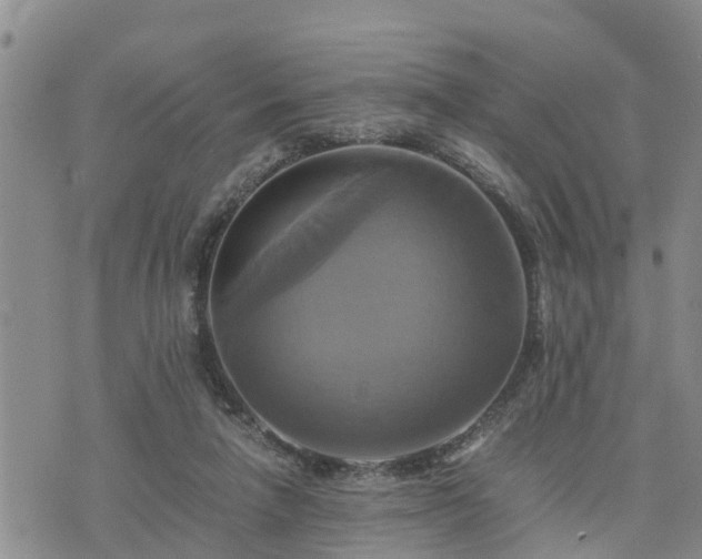 X0000075860258200609221803