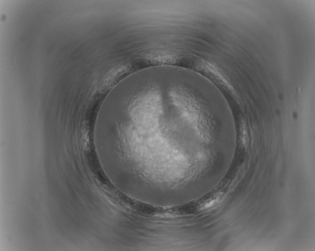 X0000075860259200609221803