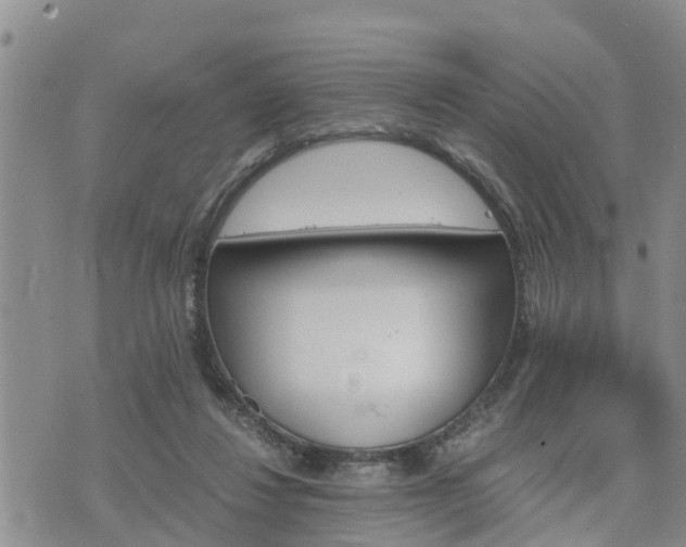 X0000075860260200609221803