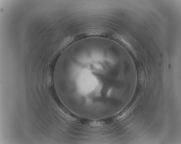 X0000075860261200609221803