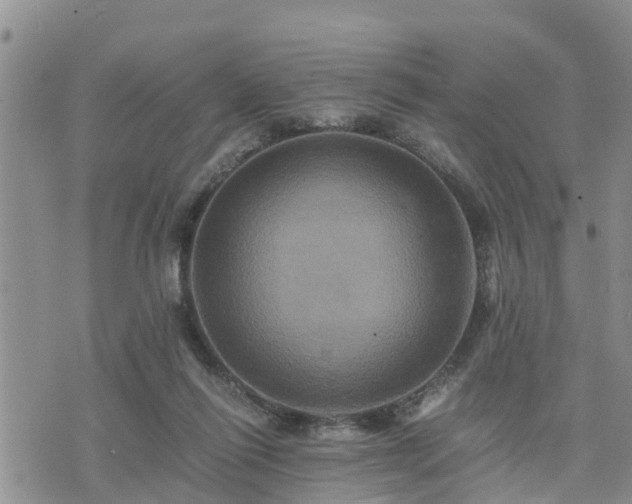 X0000075860262200609221803