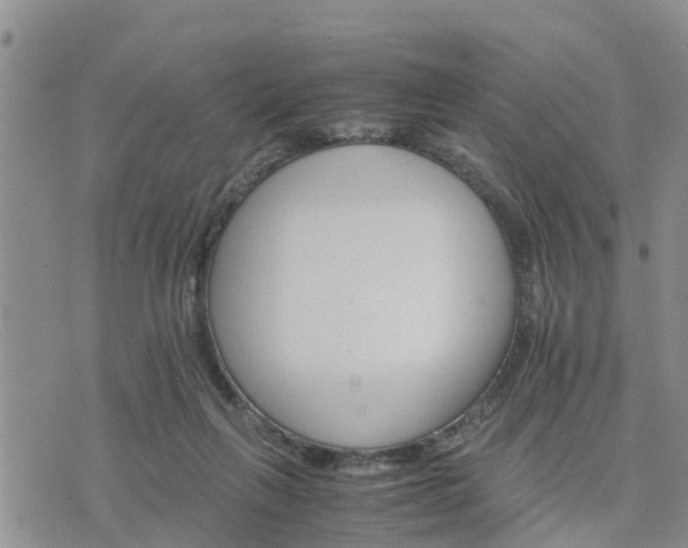 X0000075860263200609221803