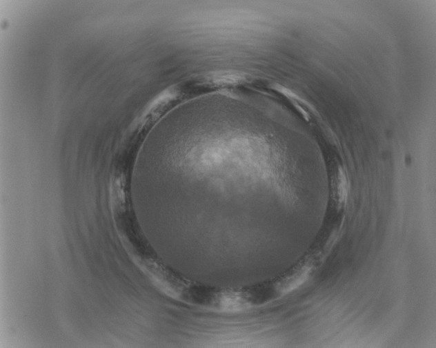 X0000075860264200609221803