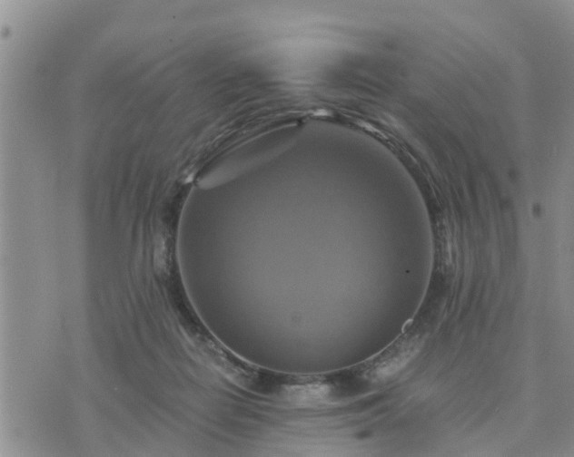 X0000075860266200609221803